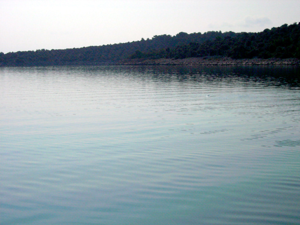 Click to display next picture