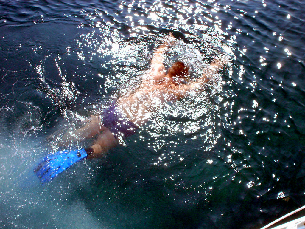 Click to display next picture